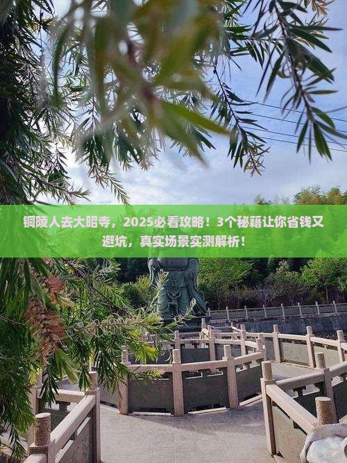 铜陵去西藏大昭寺景点