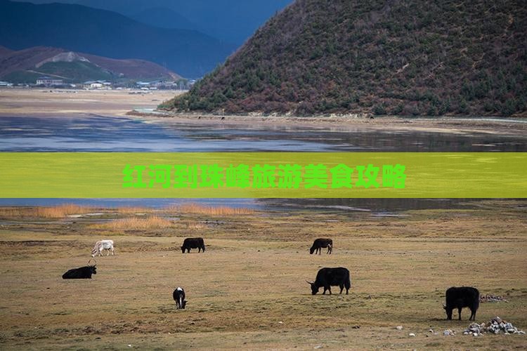 红河到西藏珠峰大本营旅游小吃