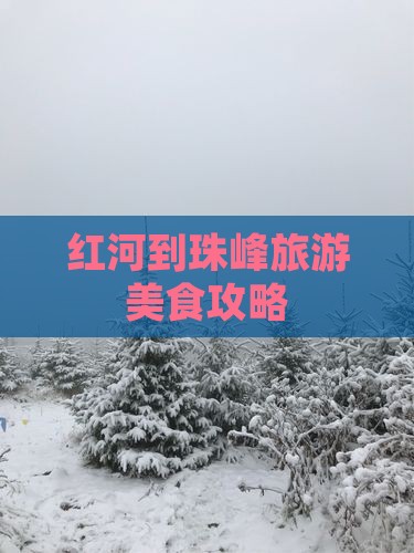 红河到西藏珠峰大本营旅游小吃