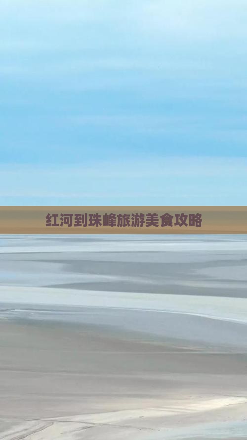 红河到西藏珠峰大本营旅游小吃