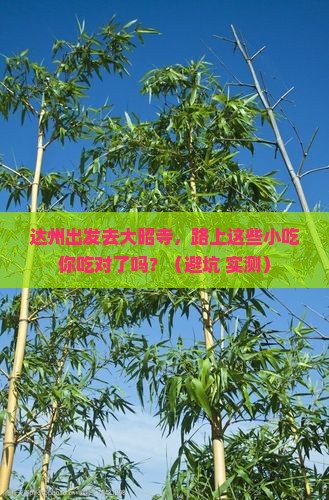 达州去西藏大昭寺旅游小吃