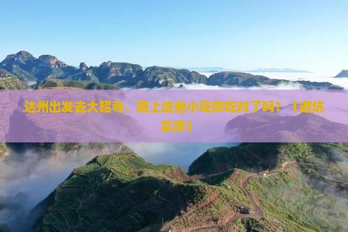 达州去西藏大昭寺旅游小吃