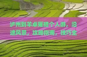泸州到西藏羊卓雍措个人游