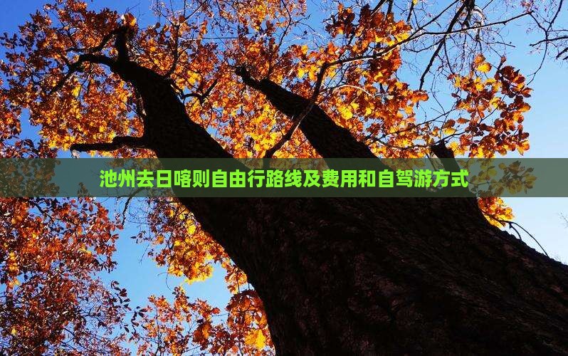 池州去西藏日喀则自由行
