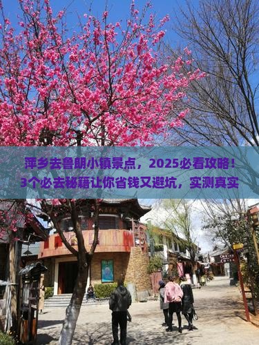 萍乡去西藏鲁朗小镇景点