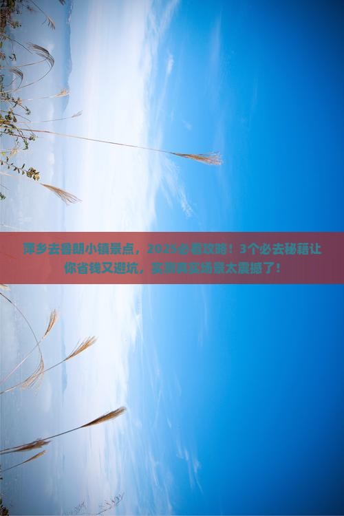 萍乡去西藏鲁朗小镇景点
