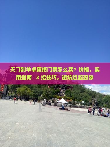 天门到西藏羊卓雍措门票