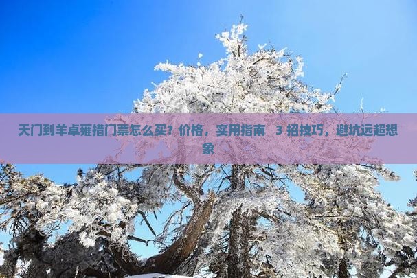 天门到西藏羊卓雍措门票