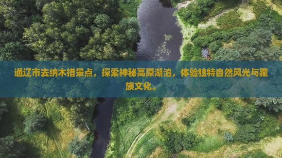 通辽市去西藏纳木措景点