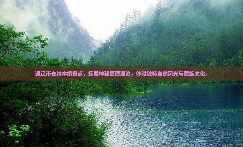 通辽市去西藏纳木措景点