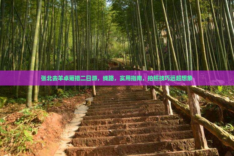 张北去西藏羊卓雍措二日游