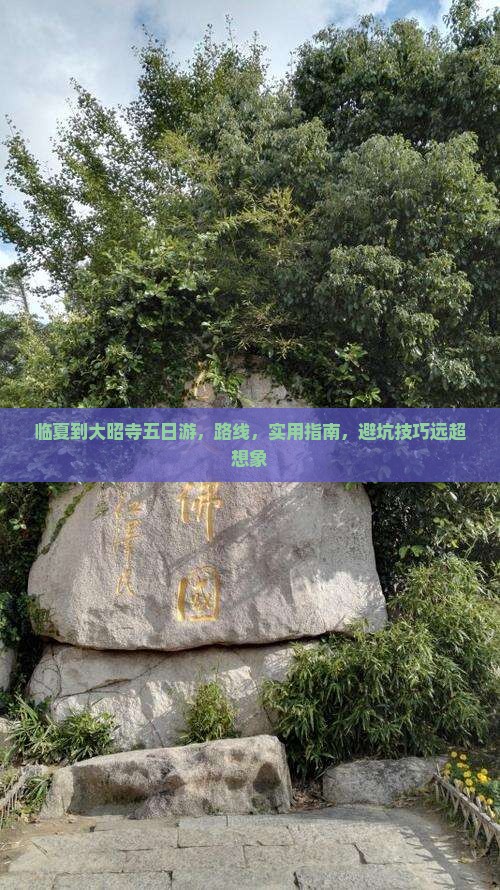 临夏到西藏大昭寺五日游