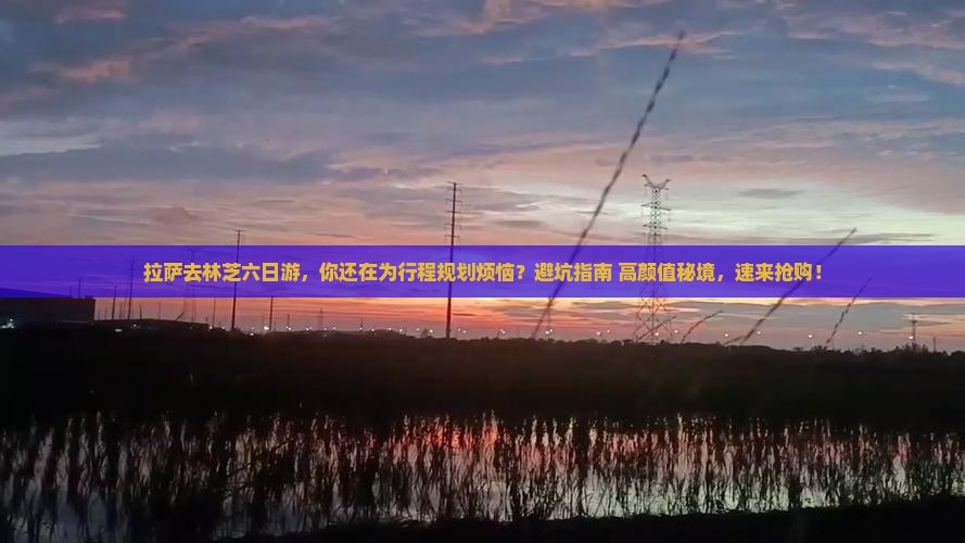 拉萨去西藏林芝六日游
