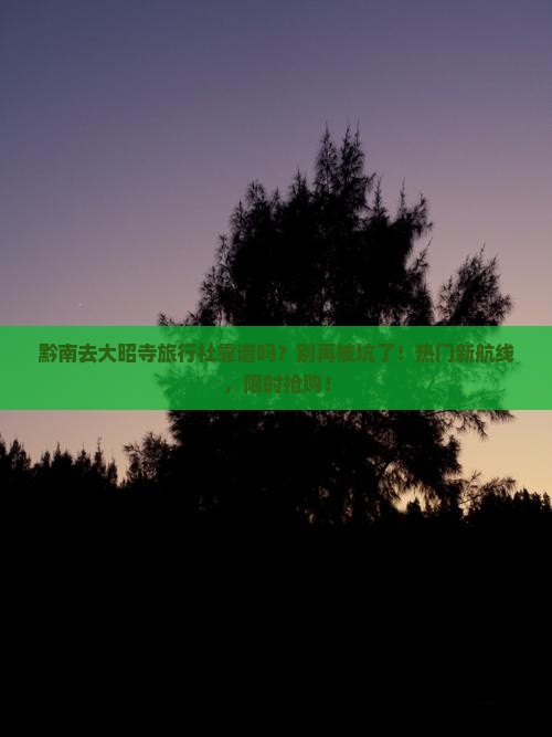 黔南去西藏大昭寺旅行社