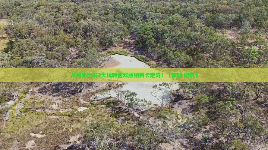 西双版纳到西藏卡定沟攻略