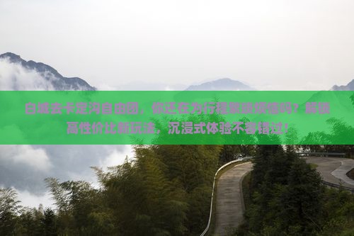 白城去西藏卡定沟自由团