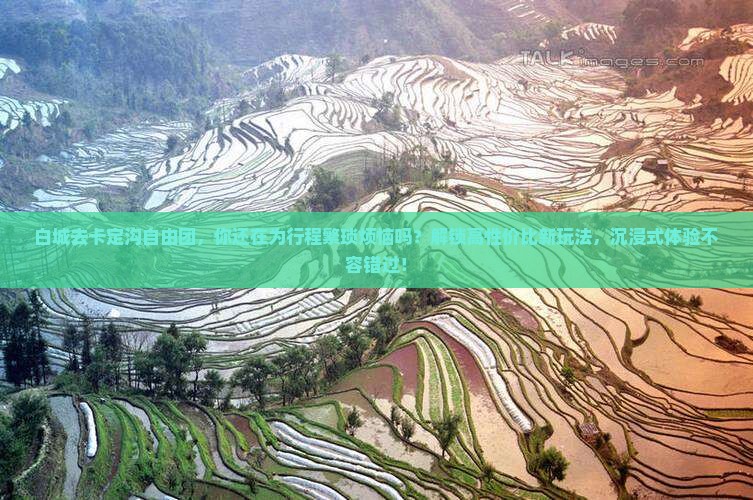 白城去西藏卡定沟自由团
