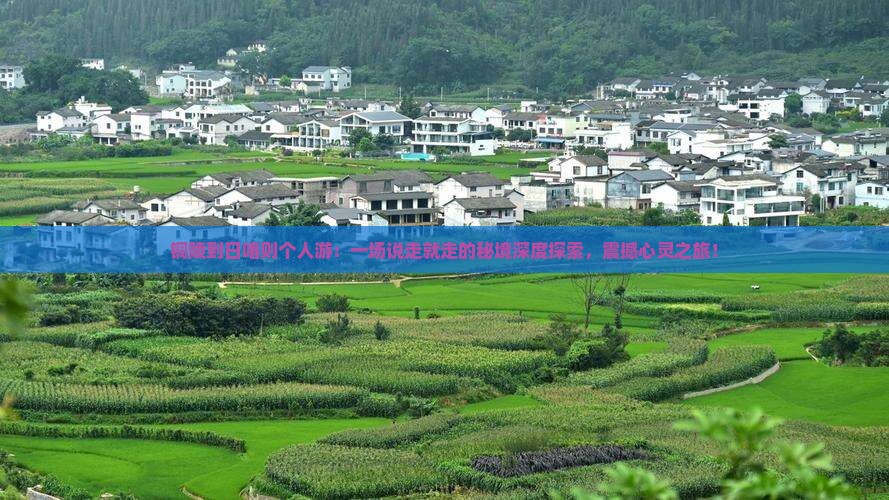 铜陵到西藏日喀则个人游