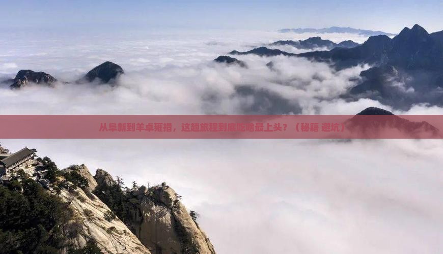 阜新到西藏羊卓雍措旅游小吃