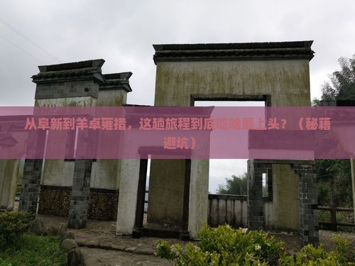 阜新到西藏羊卓雍措旅游小吃