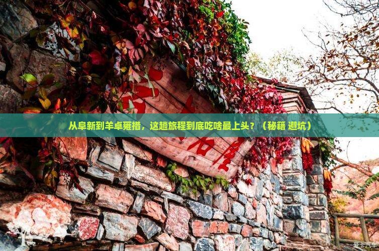 阜新到西藏羊卓雍措旅游小吃