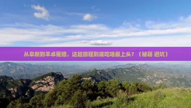 阜新到西藏羊卓雍措旅游小吃