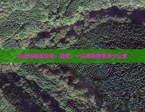 白山到西藏林芝攻略