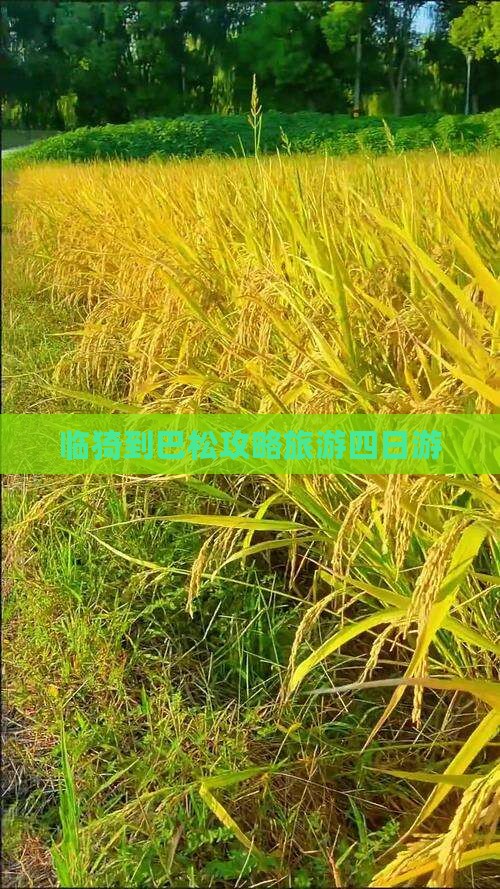临猗到西藏巴松措四日游