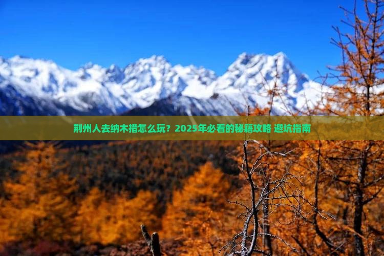 荆州去西藏纳木措哪里玩