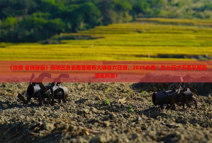 廊坊去西藏雅鲁藏布大峡谷六日游