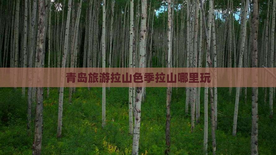青岛去西藏色季拉山哪里玩