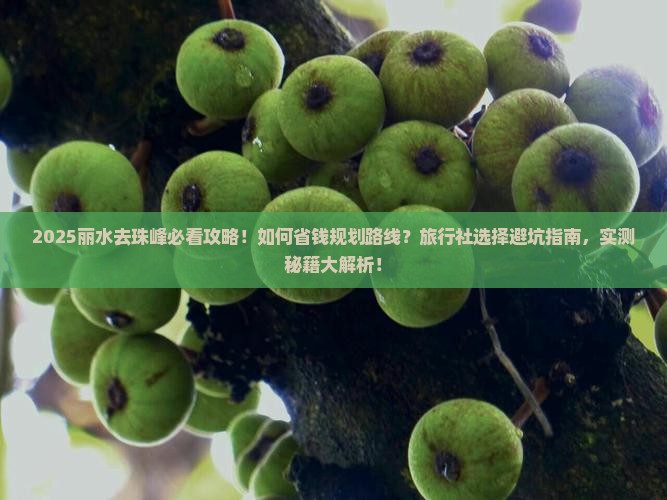 丽水去西藏珠峰大本营旅行社