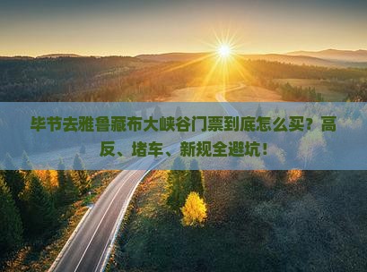 毕节去西藏雅鲁藏布大峡谷门票