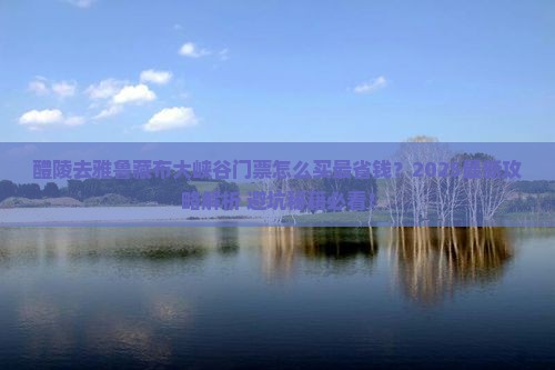 醴陵去西藏雅鲁藏布大峡谷门票