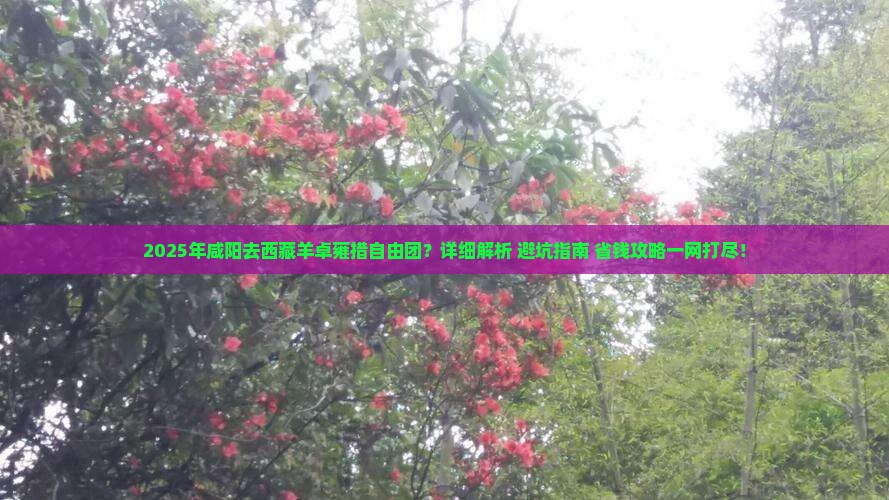 咸阳去西藏羊卓雍措自由团