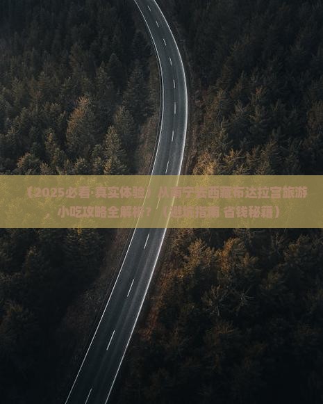 南宁到西藏布达拉宫旅游小吃
