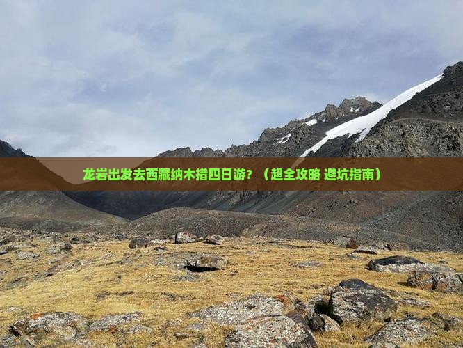 龙岩到西藏纳木措四日游