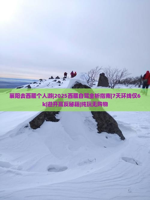襄阳去西藏个人游