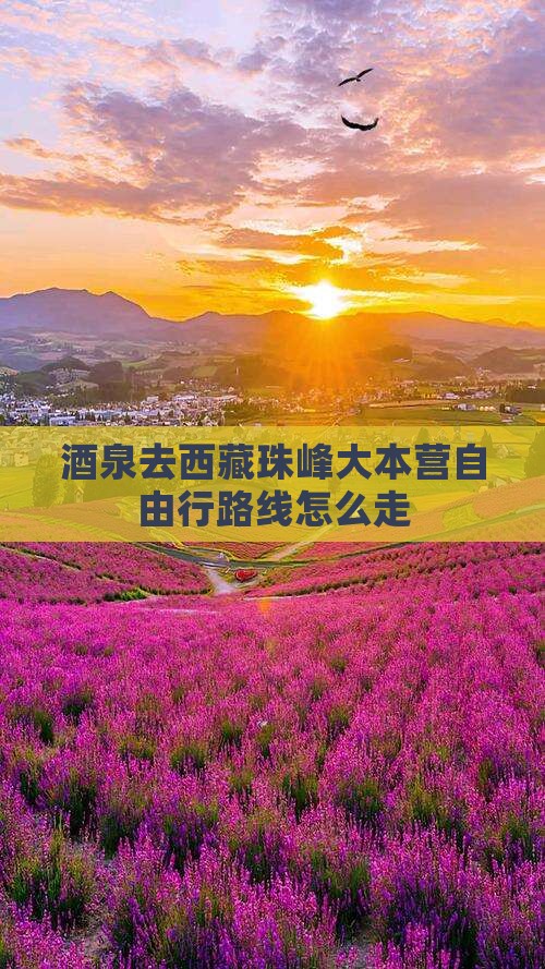 酒泉去西藏珠峰大本营自由行