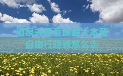酒泉去西藏珠峰大本营自由行