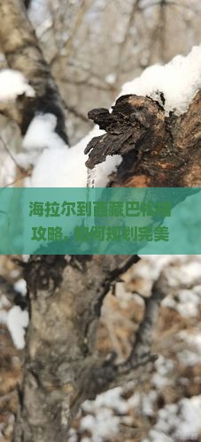 海拉尔到西藏巴松措攻略 海拉尔到西藏巴松措攻略