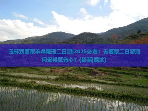 玉林到西藏羊卓雍措二日游
