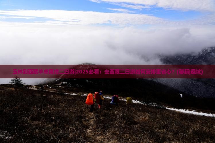 玉林到西藏羊卓雍措二日游