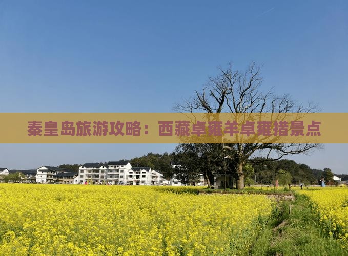 秦皇岛到西藏羊卓雍措景点