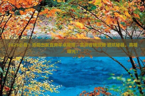 洛阳到西藏羊卓雍措旅游