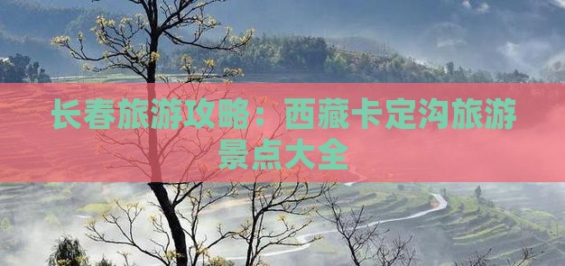 长春到西藏卡定沟哪里玩