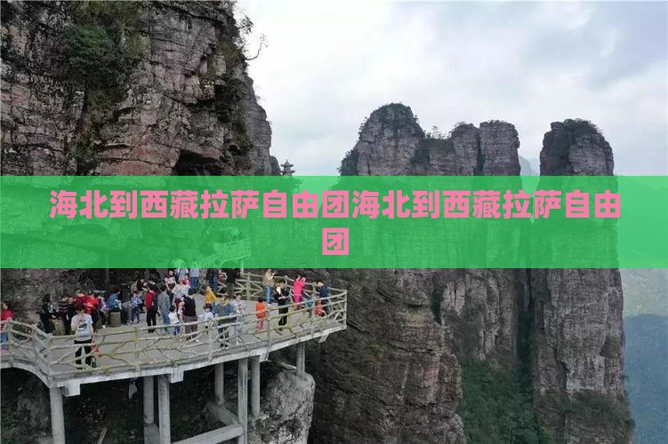 海北到西藏拉萨自由团