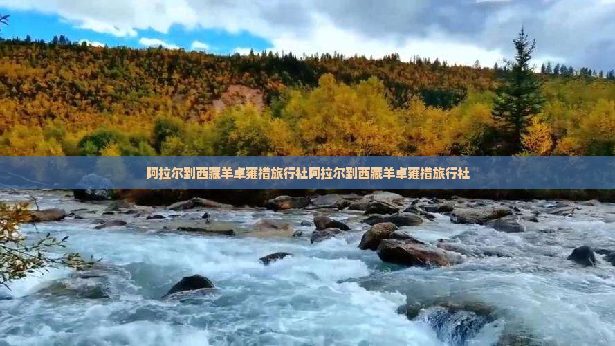 阿拉尔到西藏羊卓雍措旅行社