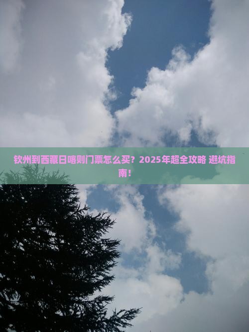 钦州到西藏日喀则门票