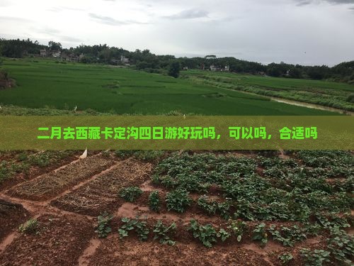 二月去西藏卡定沟四日游
